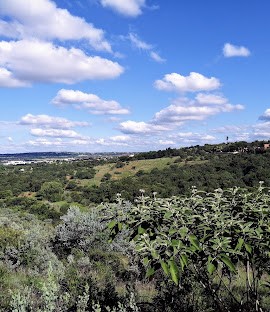 Moreleta Kloof Nature Reserve