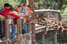 National Zoological Gardens of South Africa