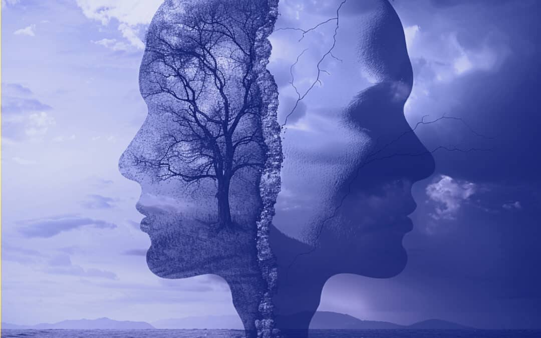 Substance Abuse Rehab in Observatory